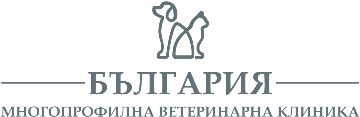 МВК България